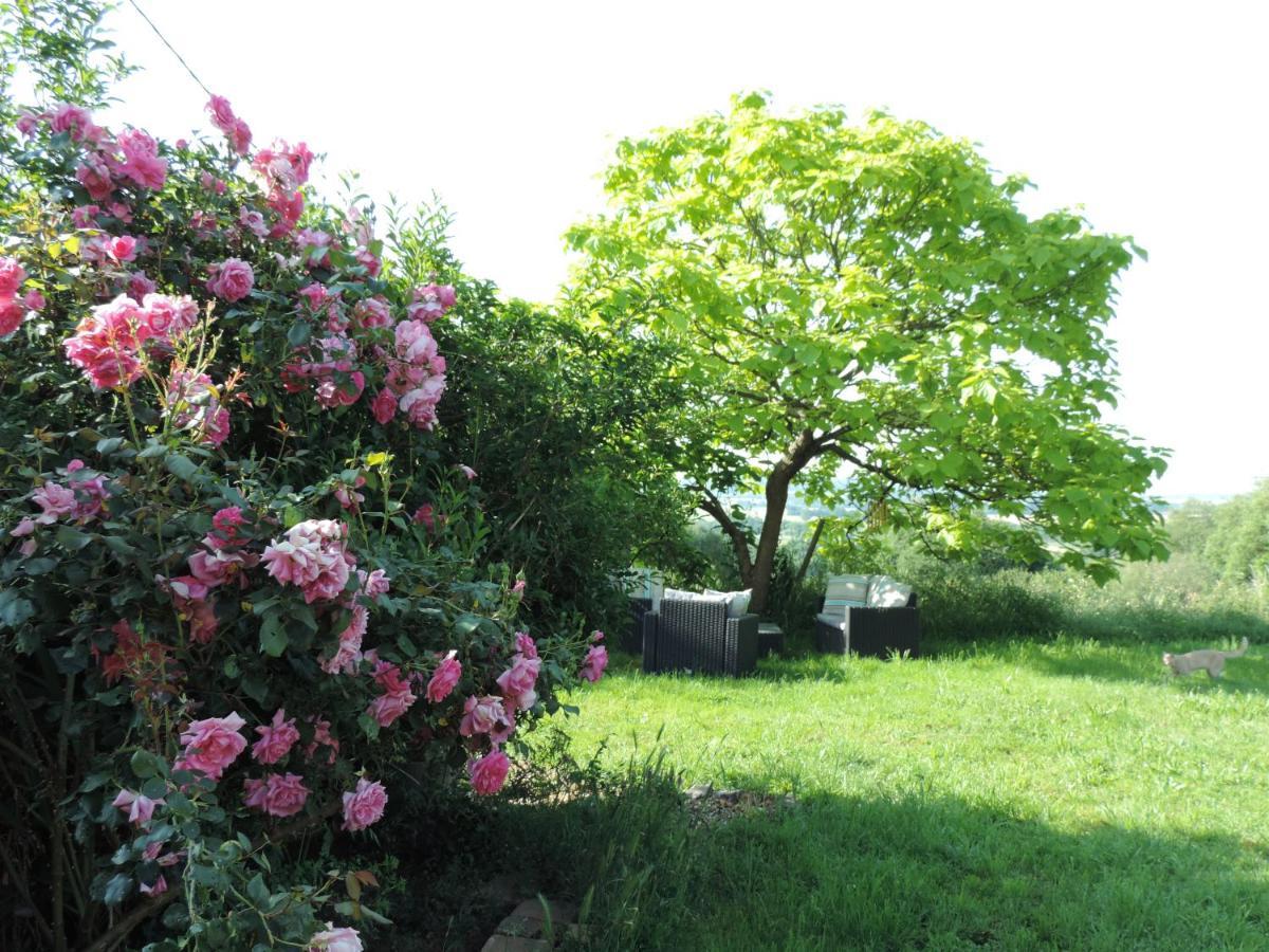 Le Clos Fleuri Ségrie Buitenkant foto